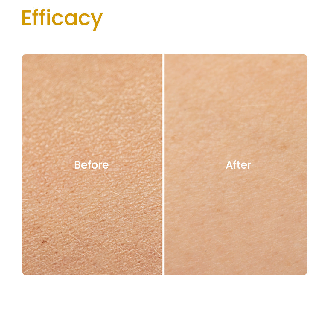 ALOE VERA LEMONGRASS SOAP