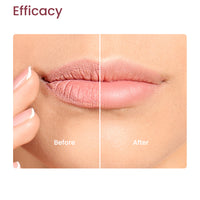 LIPPIE STACK (PACK OF 4)