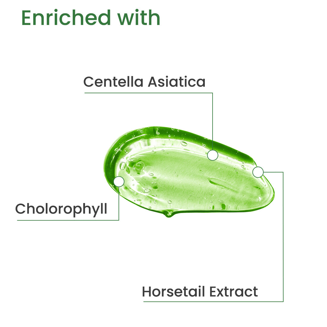 PHYTO GEL WITH CENTELLA ASIATICA & HORSETAIL EXTRACT
