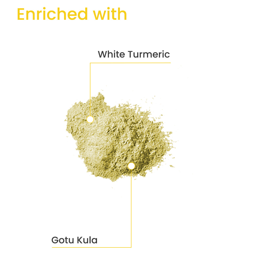 GOTU KULA & WHITE TURMERIC CLEANSING BUFF