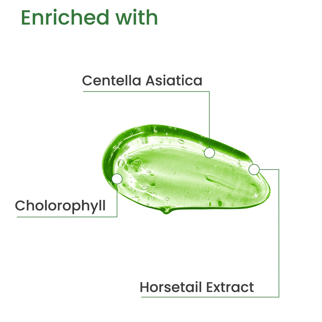 phyto gel ingredients