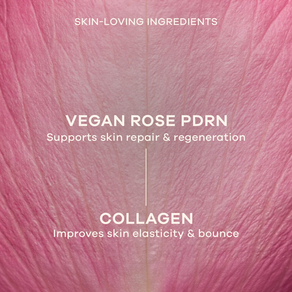 Rose PDRN Collagen Barrier Repair Capsule Cream