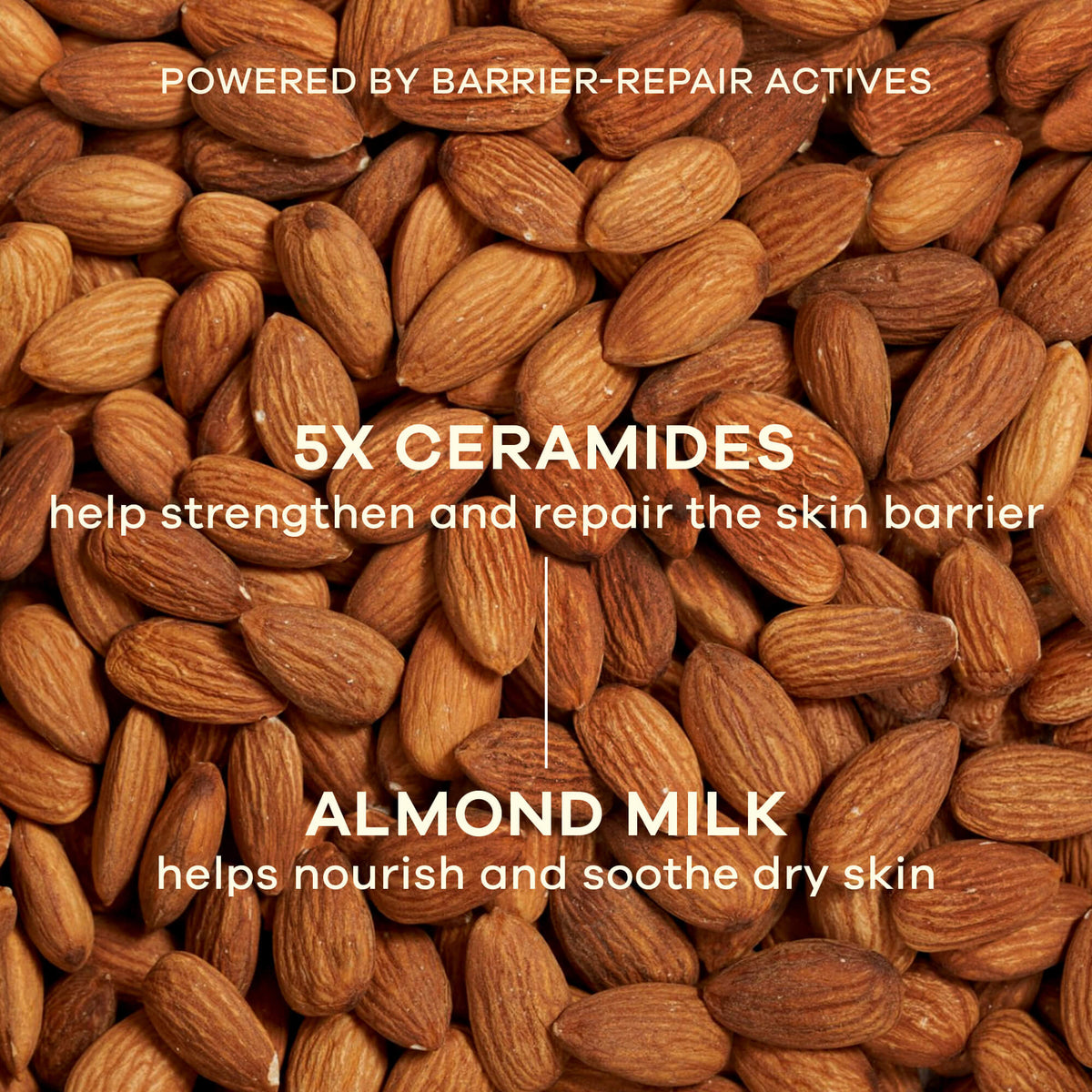 Bounce Back Barrier Repair Face Moisturizer with Almond Milk & Ceramides