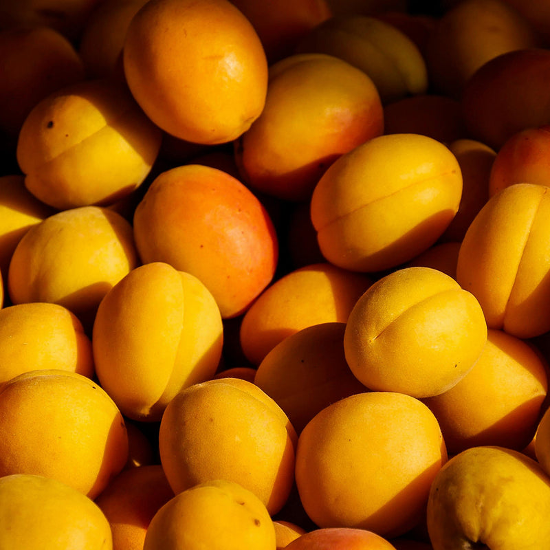 Apricot Kernel Oil