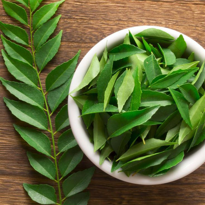Curry leaf