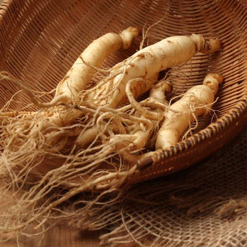 Ginseng