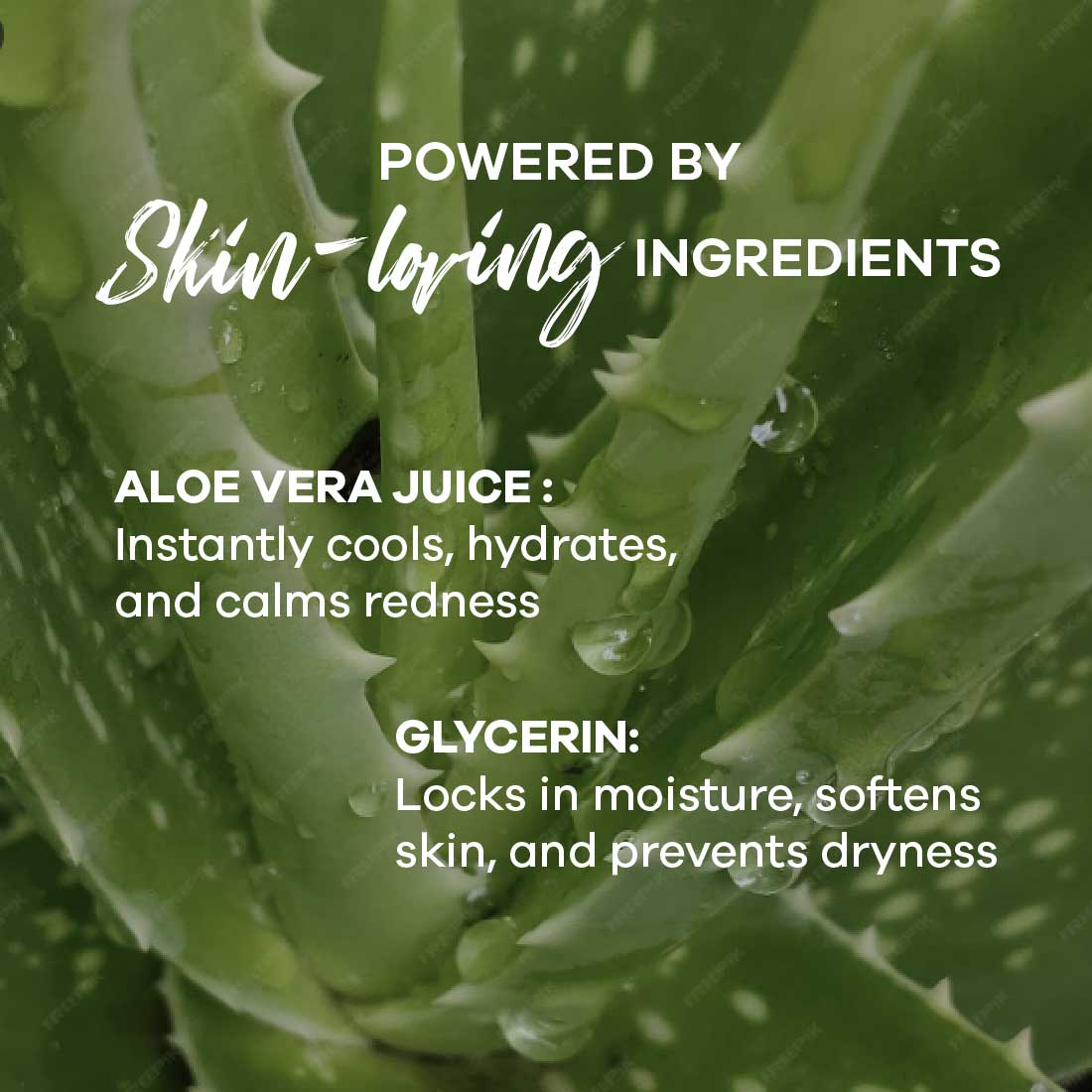 ALOE VERA GEL - 100 ml