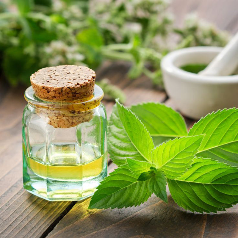 Spearmint Oil