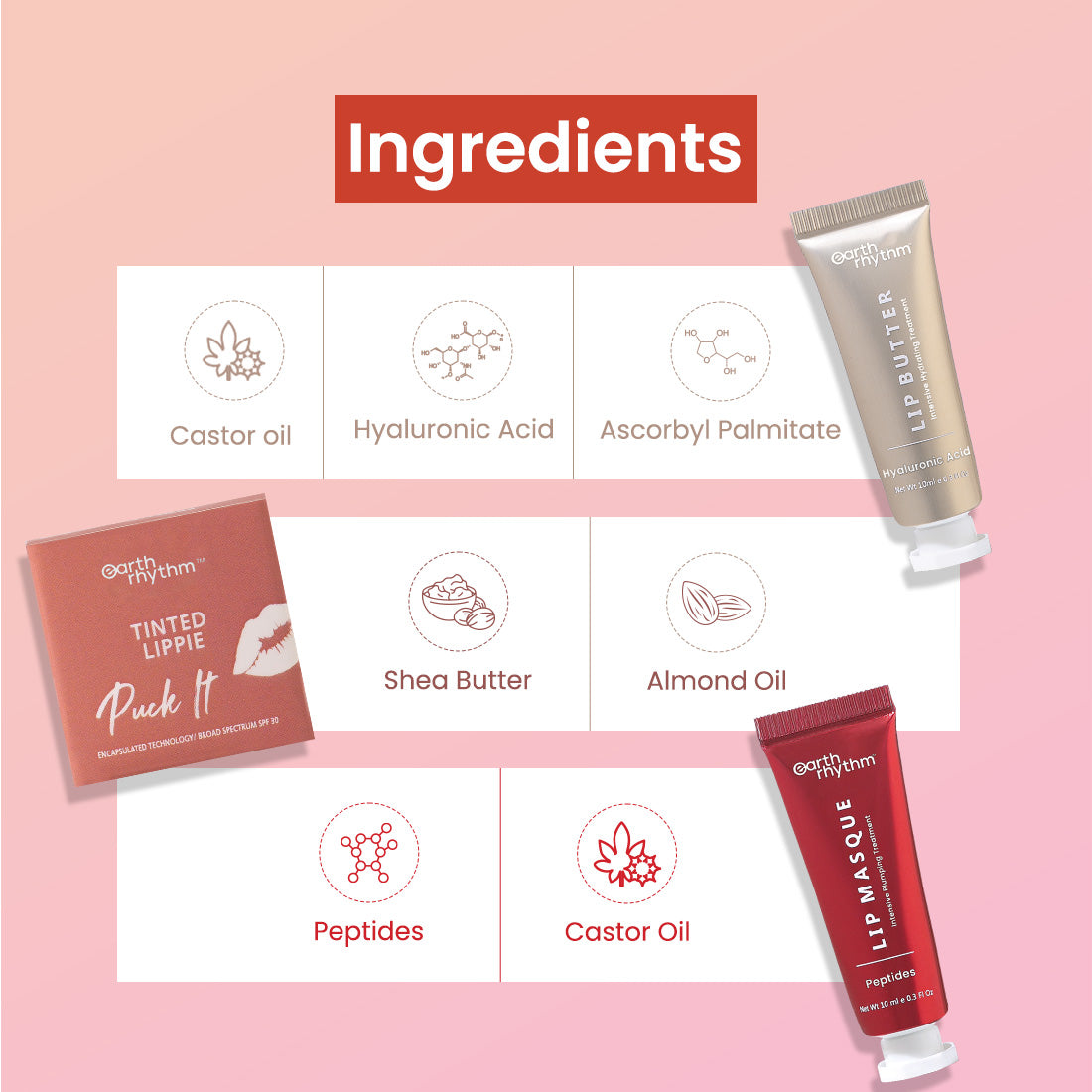 lip care kit ingredients